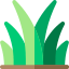 草