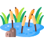 池